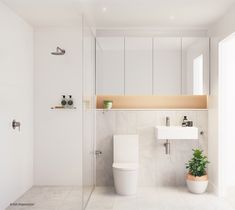 a bathroom with a toilet, sink and mirror in it's center wall next to a potted plant