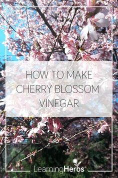 the words how to make cherry blossom vinegar in front of a tree with pink flowers