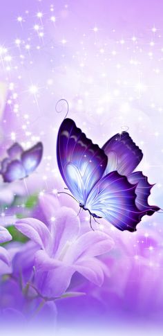 two purple butterflies flying over flowers with sparkles in the sky behind them on a blue and pink background