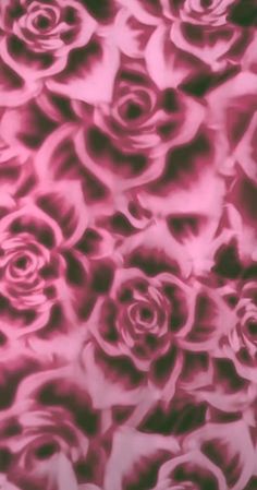 pink and black roses are shown in this artistic photo, which appears to be blurry