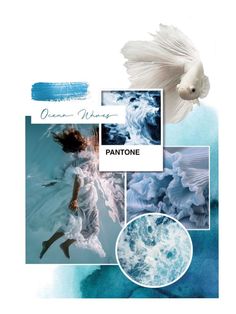 an image of a white bird flying over water with blue hues and the words pantonee on it