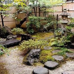 a garden with rocks and plants in it