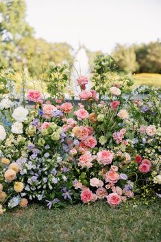 a bunch of flowers that are in the grass