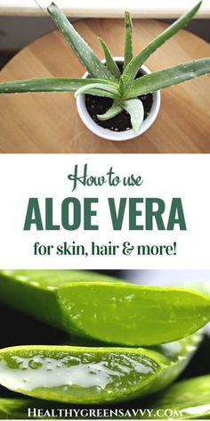 Uses For Aloe, Aloe Vera For Sunburn, Aloe Vera Uses, Proper Nutrition, Healthy Nutrition, Nutrition Tips