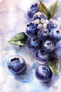 watercolor painting of blueberries with leaves