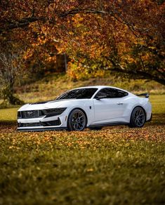 a white car parked in front of some trees with leaves on the ground and grass