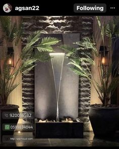 an indoor fountain surrounded by palm trees and potted plants in front of a stone wall