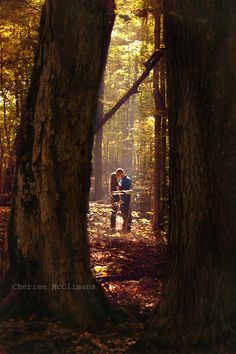 two people sitting on a bench in the middle of a forest with trees and leaves