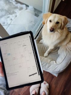 a person holding up a tablet with a calendar on the screen and a dog sitting next to them