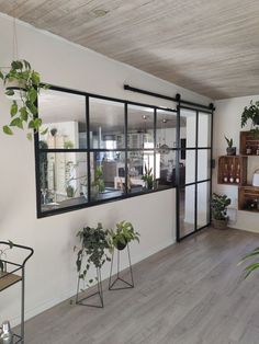 a living room filled with lots of plants next to a wall mounted shelf full of potted plants