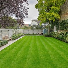 a large green lawn in the middle of a yard with trees and bushes around it