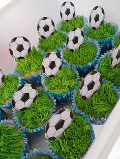 cupcakes decorated with green grass and soccer balls