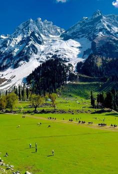 the mountains are covered in snow and green grass, with people walking around them on either side