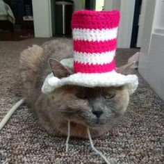 a cat wearing a crocheted hat laying on the floor