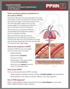 an image of the anatomy of the human body and its functions, including the lungs