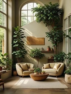 a living room filled with furniture and lots of plants