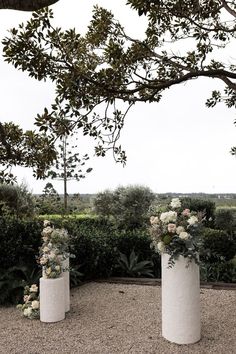 three tall white vases with flowers in them are sitting on the ground near some bushes