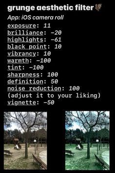 an image of a park with benches and trees in the background that has text describing how to use grunge as aesthetic filter