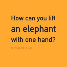 an elephant with the words how can you lift an elephant with one hand?