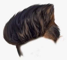 an image of a dog's head with hair in the shape of a wig