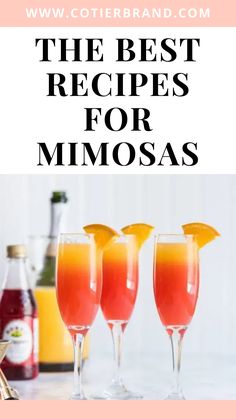 the best recipes for mimosas