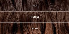 Level 5 Neutral Brown Hair, Neutral Brown Hair, Bronze Hair Color, Warm Brown Hair Color, Madison Reed Hair Color, Cool Brown Hair, Light Brunette Hair, Types Of Hair Color, Warm Hair Color