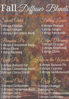 Make Your House Smell Amazing, Edens Garden, Homemade Mixes, Fall Stuff