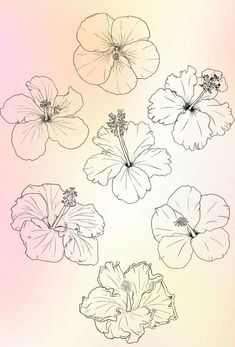 four flowers are shown in black and white on a pink background with the words,