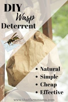 a brown paper bag with the words diy wasp deterent on it and a photo of