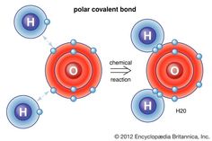 an image of hydrogens with the words, still a better love story than twilight