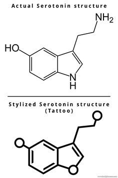 three different types of structural structures are shown in black and white, with the names below them