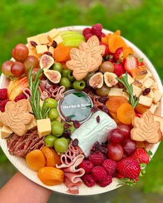 a platter of fruit and cheese is being held by a person's hand