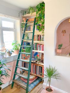 a green ladder leaning up against a wall next to a potted plant and bookshelf