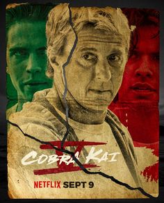 the poster for cobra kalat and netflix's series 9, featuring two men looking at each other