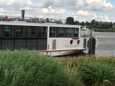 a large white boat sitting on top of a river next to tall grass and trees