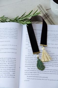 an open book with two tassels on top of it next to a plant