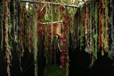 the man is standing in front of some hanging plants