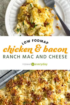 Indulge in a creamy, savory Low FODMAP Chicken & Bacon Ranch Mac and Cheese that’s packed with flavor and easy on the digestive system. This comforting recipe combines tender chicken, crispy bacon, and a rich, ranch-seasoned cheese sauce over gluten-free pasta, perfect for those following a low FODMAP diet. Ideal for a cozy dinner or a quick family meal, this dish brings all the satisfaction without the stomach troubles. Enjoy a delicious, gut-friendly twist on classic mac and cheese. Bacon Ranch Mac And Cheese, Ranch Mac And Cheese, Gut Friendly Recipes, Classic Mac And Cheese, Quick Family Meals