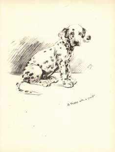 a drawing of a dalmatian puppy sitting on the ground with his paw up