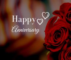 two red roses are in front of a happy anniversary card with the words,'happy anniversary '