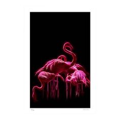 three pink flamingos are standing in the dark