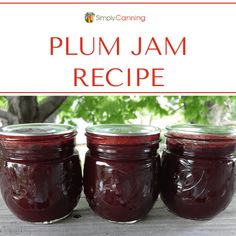 three jars filled with plum jam sitting on top of a wooden table next to a tree