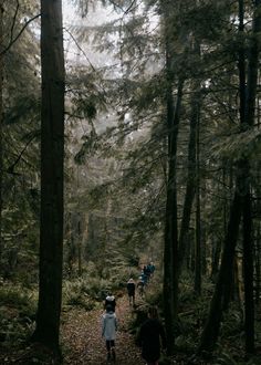 people walking in the woods on a trail