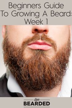 Beard Guide, Growing Facial Hair, Grow A Beard, Diy Beard, Beard Rules, Men's Facial Hair