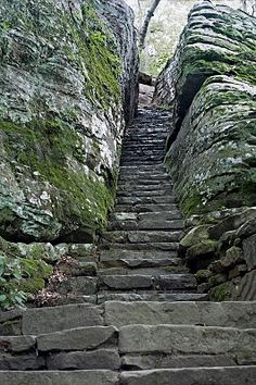 stone steps leading up to the top of a cliff in an area with moss growing on it