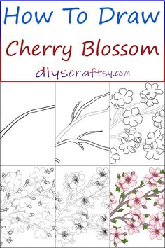 how to draw cherry blossom flowers in four easy steps with pictures and text overlay