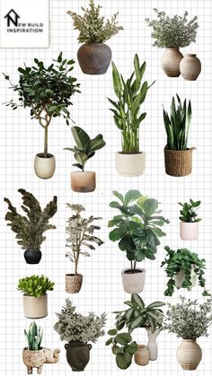 a bunch of potted plants sitting on top of each other