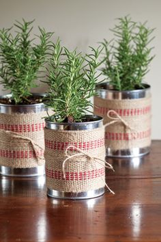 three tin cans with plants in them sitting on a table