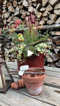 a potted plant sitting on top of a wooden table next to a pile of logs