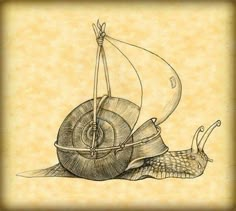 a drawing of a snail with a sail on it's back